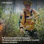 На 11:00 в Красноярском крае велись работы по тушению 80 лесных пожаров на площади 105,2 тыс