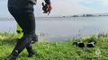 11 человек утонули на водоёмах Хакасии с начала сезона