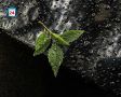 Доброе утро, друзья. Хакасию продолжает штормить