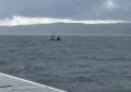 Пять девушек на сапах оказались посреди Красноярского водохранилища во время шторма