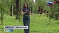 Финал лета. Каким будет август? Этот вопрос особенно волнует тех, кто еще не успел отдохнуть