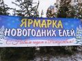 Комиссия по размещению нестационарных торговых объектов на территории города Абакана с 10 сентября 2026 года начнёт приём заявлений на размещение ёлочных базаров
