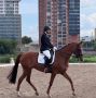 Хакасская спортсменка триумфально выступила на межрегиональом турнире по выездке