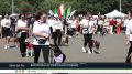 Собачий парад покорил жителей на Дне города в Хакасии