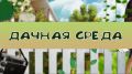 Друзья, сегодня время "Дачной среды"
