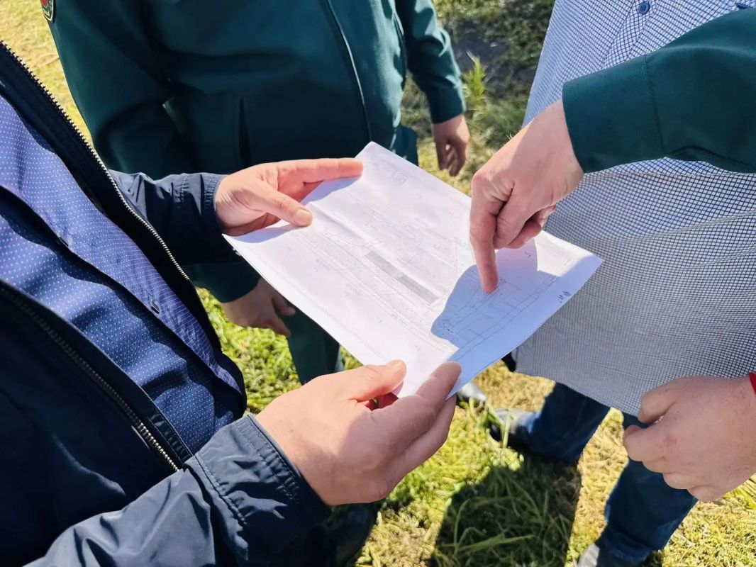 Первый в Хакасии тепличный комплекс для выращивания хвойных пород строят в деревне Чапаево Первый в Хакасии тепличный комплекс для выращивания хвойных пород строят в деревне Чапаево