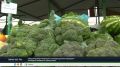 Торговля овощами и фруктами: что изменилось с 1 сентября?