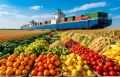 32% составил прирост экспорта продукции АПК из Хакасии