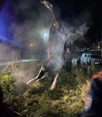 Коня, угодившего в колодец, вызволили спасатели в селе Иджа Шушенского округа Коня, угодившего в колодец, вызволили спасатели в селе Иджа Шушенского округа