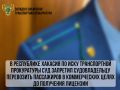 В Республике Хакасия по иску транспортной прокуратуры суд запретил судовладельцу перевозить пассажиров в коммерческих целях до получения лицензии