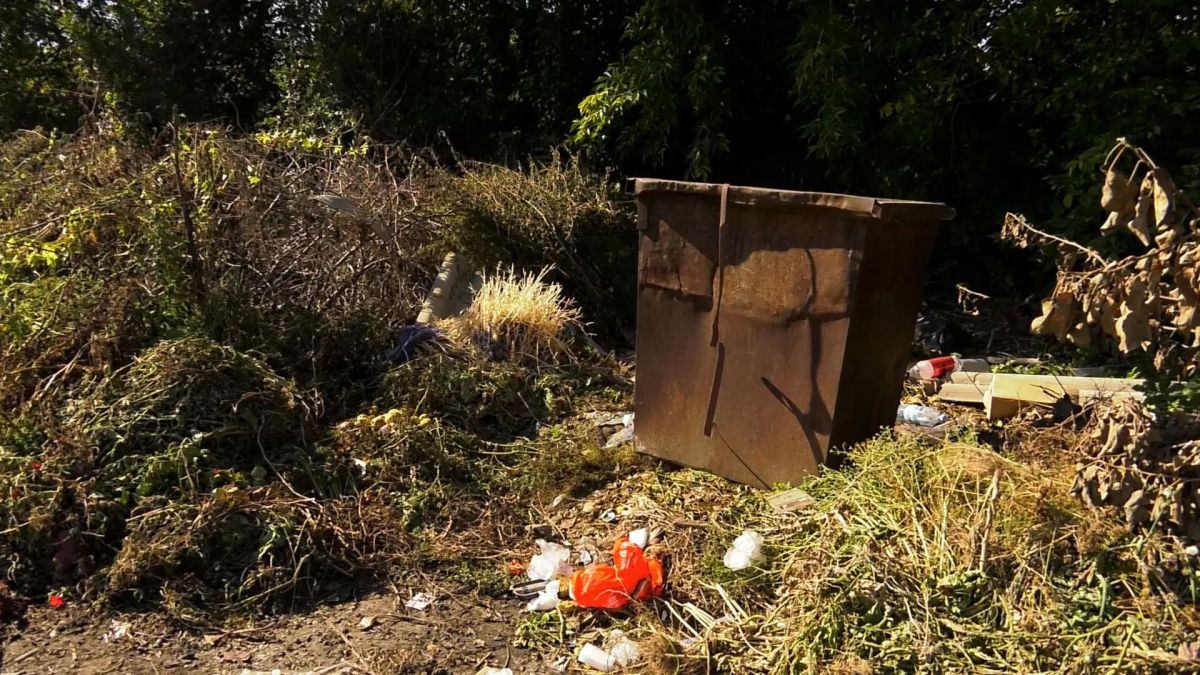 Жители улицы Горной в Абакане жалуются на стихийную свалку из-за единственного мусорного контейнера