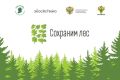 140 новых сосен за один день: жителей Хакасии зовут на масштабную лесную акцию!