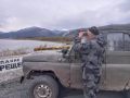 Число отстреленных медведей в Хакасии дошло до 125