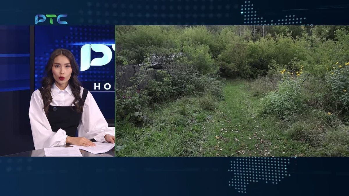 Абаза пережила ночную "осаду" медведей: за сутки убиты три хищника