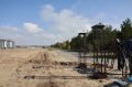 Обустройство нового сквера стартовало в Белом Яре