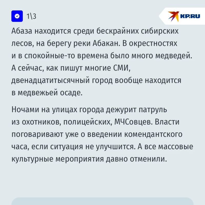 Медведи взяли в осаду российский город: "Они идут со всех сторон, бегают по дорогам и дворам Медведи взяли в осаду российский город: "Они идут со всех сторон, бегают по дорогам и дворам