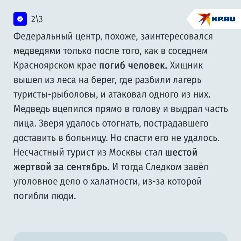 Медведи взяли в осаду российский город: "Они идут со всех сторон, бегают по дорогам и дворам Медведи взяли в осаду российский город: "Они идут со всех сторон, бегают по дорогам и дворам