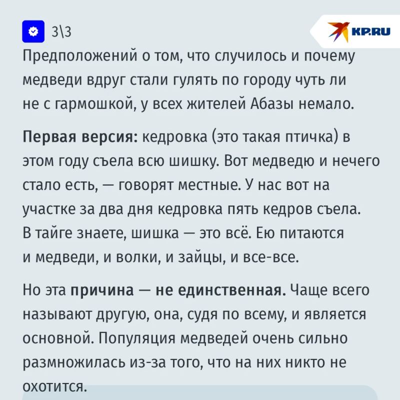 Медведи взяли в осаду российский город: "Они идут со всех сторон, бегают по дорогам и дворам Медведи взяли в осаду российский город: "Они идут со всех сторон, бегают по дорогам и дворам