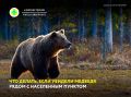 В связи с участившимися случаями выхода бурого медведя в непосредственной близости от населенных пунктов, напоминаем важные правила безопасности: