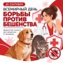 Бешенство — опасное для жизни заболевание, о котором нужно знать каждому