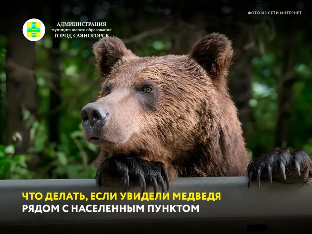 Впереди выходные, многие поедут на дачи или загород