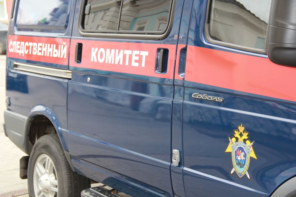 В Красноярске завершено расследование уголовного дела по обвинению женщины в неисполнении родительских обязанностей и жестоком обращении с дочерью