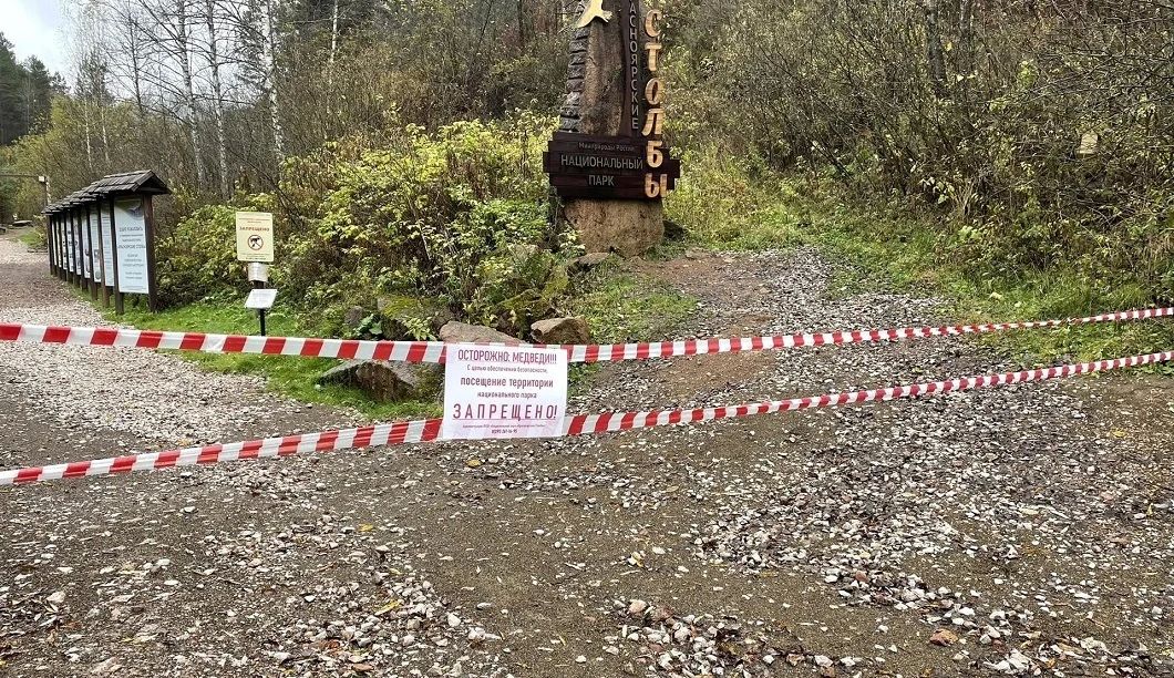 За посещение «Красноярских Столбов» будут штрафовать