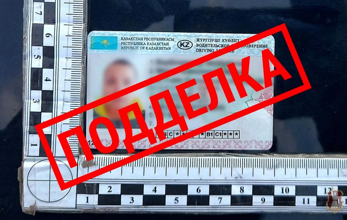 Камышинской автомобилистке грозит тюремное заключение на год за поддельные права