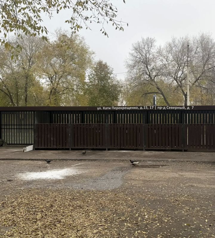 Из серии было/стало. Сейчас на зачистку мусора с площадок накопления ТКО уходит больше времени Из серии было/стало. Сейчас на зачистку мусора с площадок накопления ТКО уходит больше времени