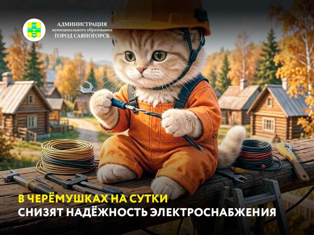«Россети Сибири» предупреждают жителей посёлка Черёмушки о временном ослаблении схемы электроснабжения, в течение всего дня, 20 октября, с 01:00 до 24:00