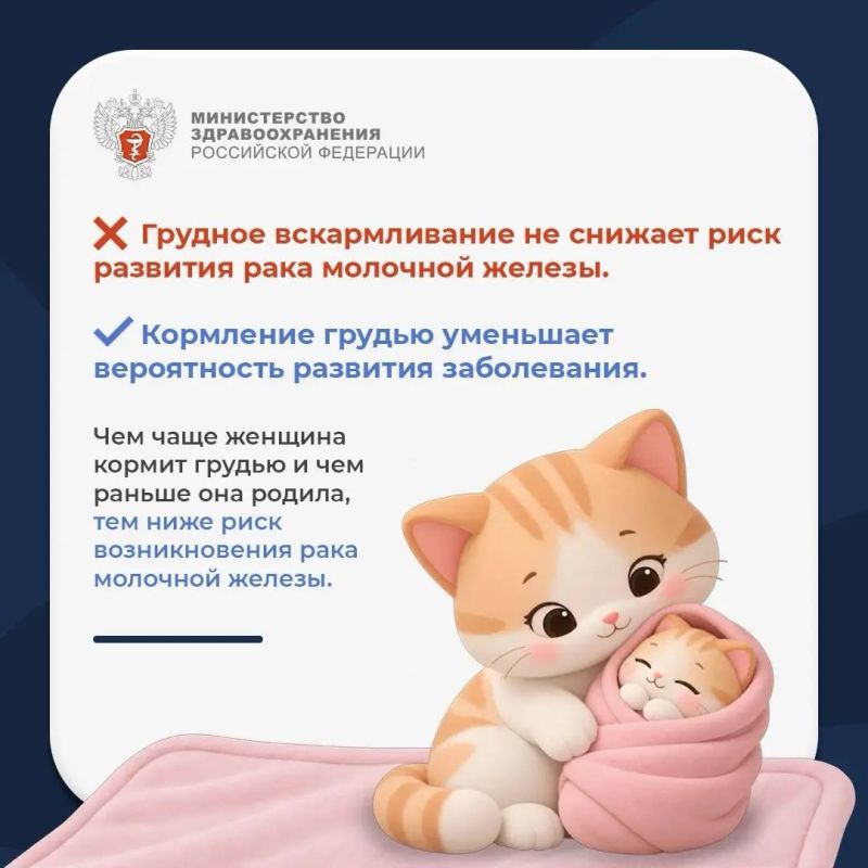 Мифы и правда о раке молочной железы Мифы и правда о раке молочной железы