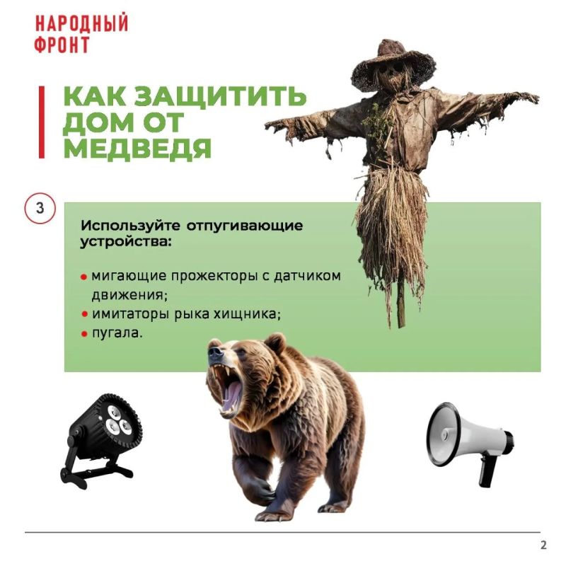 Учёные советуют защищать частные дома от медведей химическими ловушками Учёные советуют защищать частные дома от медведей химическими ловушками