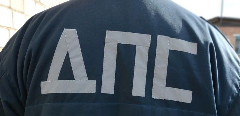 В Хакасии участились ДТП по причине выхода сельхозживотных на проезжую часть