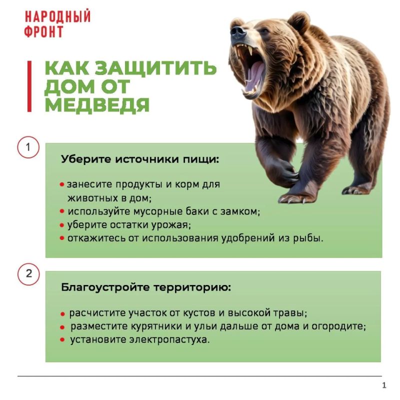 Учёные советуют защищать частные дома от медведей химическими ловушками