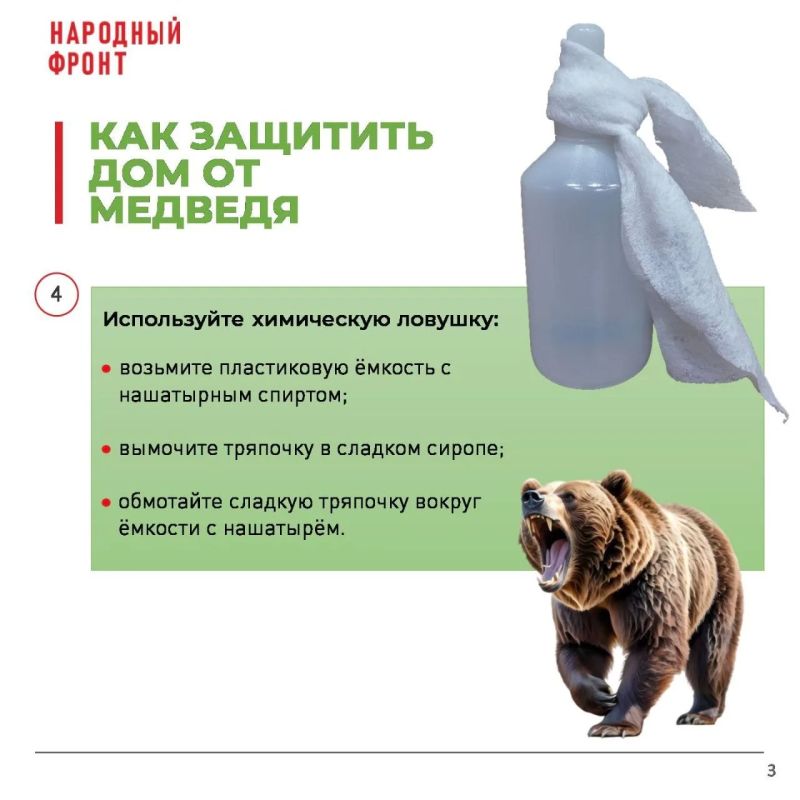 Учёные советуют защищать частные дома от медведей химическими ловушками Учёные советуют защищать частные дома от медведей химическими ловушками