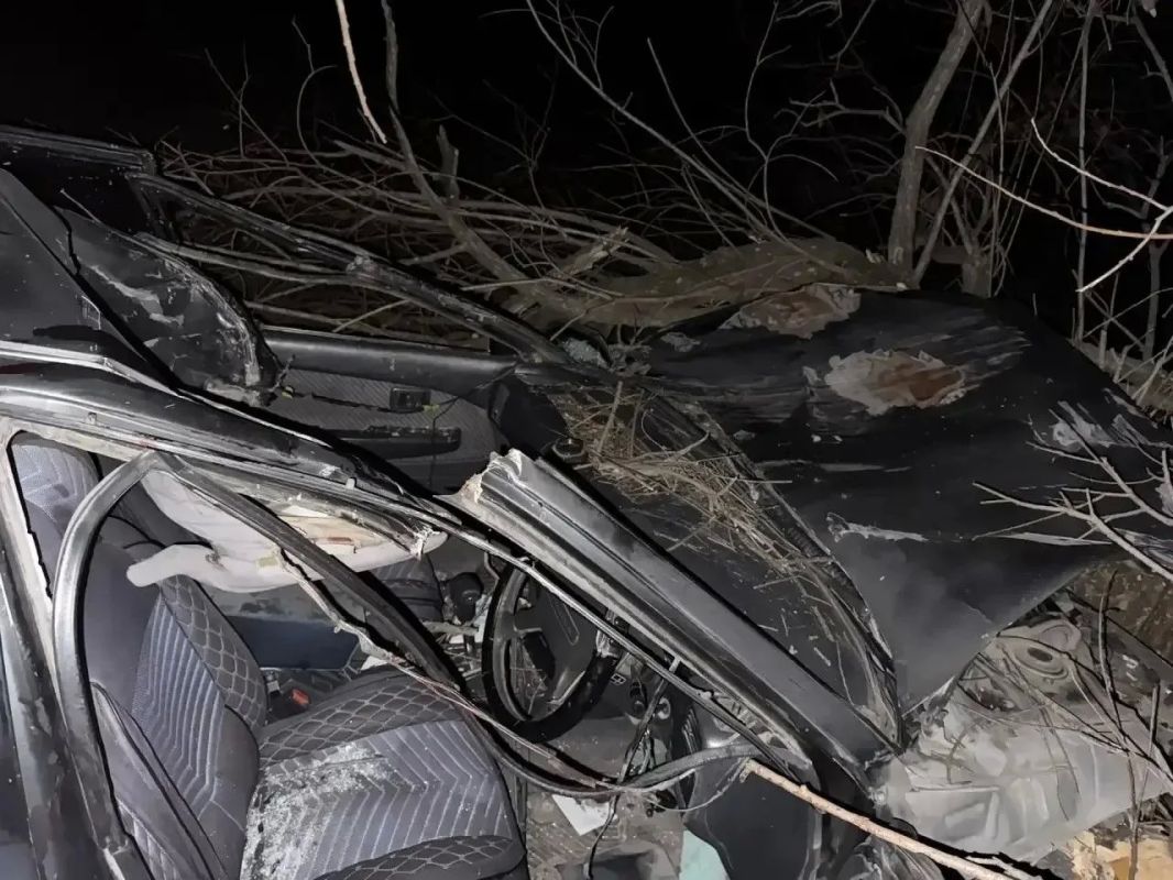Женщина и подросток пострадали в дорожной аварии, автоледи врезалась в лошадь Женщина и подросток пострадали в дорожной аварии, автоледи врезалась в лошадь