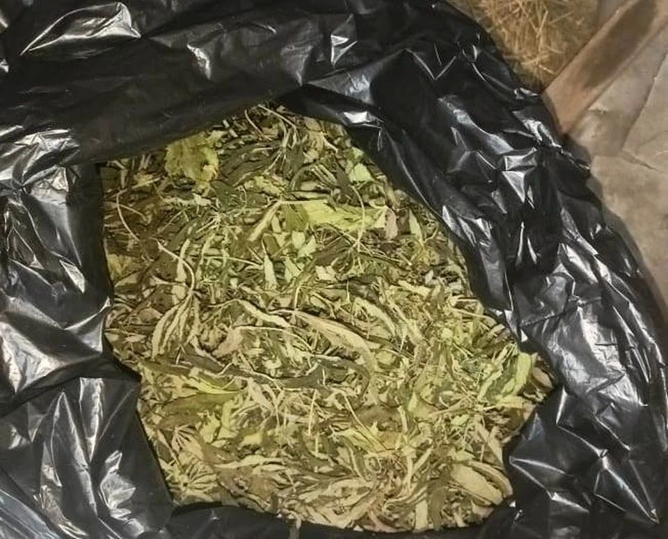 В Абакане сотрудники патрульно-постовой службы изъяли у местного жителя марихуану