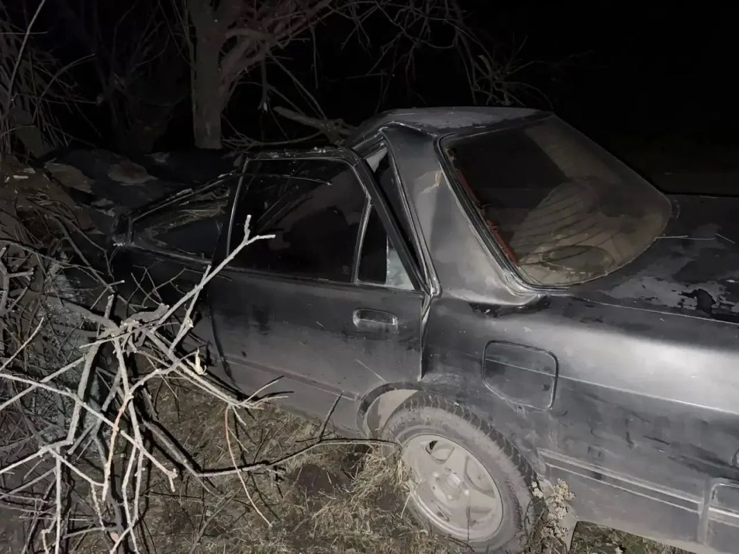 Женщина и подросток пострадали в дорожной аварии, автоледи врезалась в лошадь Женщина и подросток пострадали в дорожной аварии, автоледи врезалась в лошадь