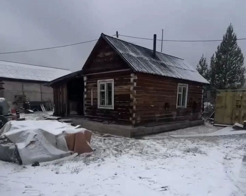 Медведь растерзал сторожа в Красноярском крае