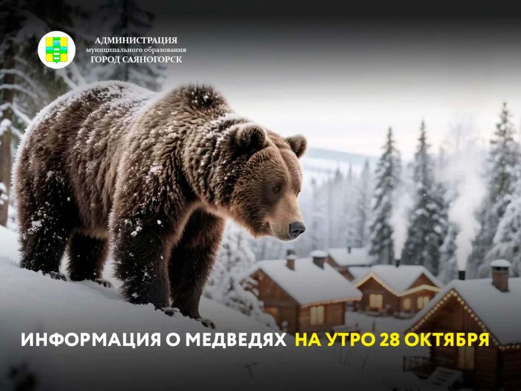 Ситуация с медведями в муниципальном образовании город Саяногорск за сутки на 28 октября, по данным на 06:00