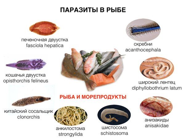 ������������ ��� ������� ������ ����: ��� �������� ���������