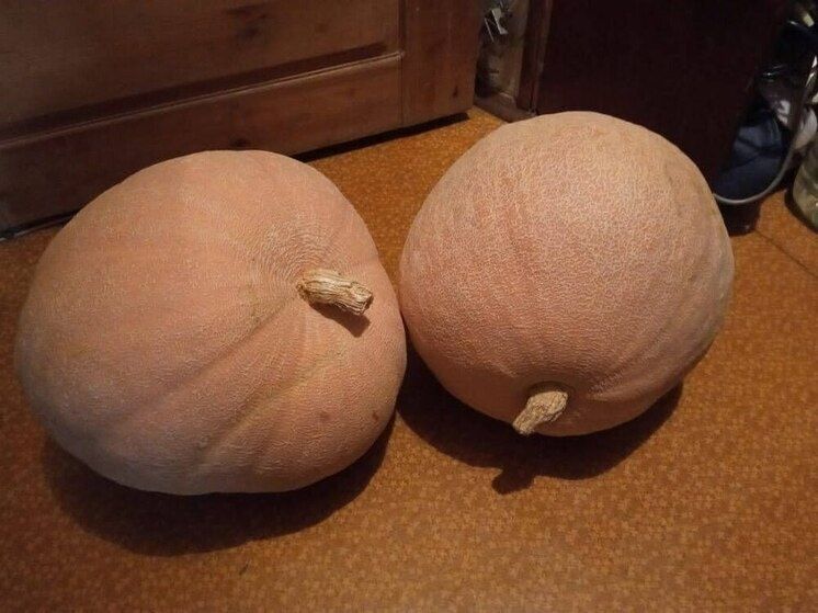 �����: ������������� ���������� ��� ������� �����������