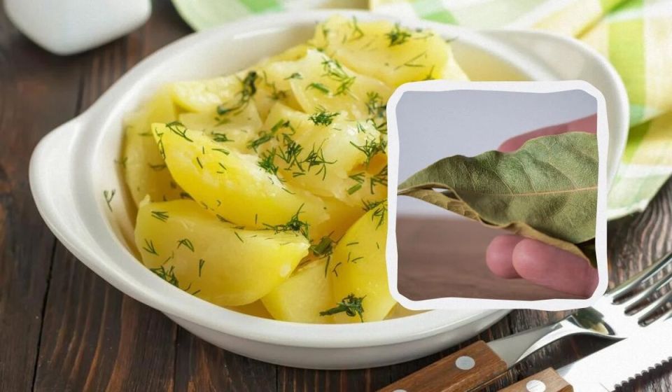 ��� ��������� ������ �������� ��� �����