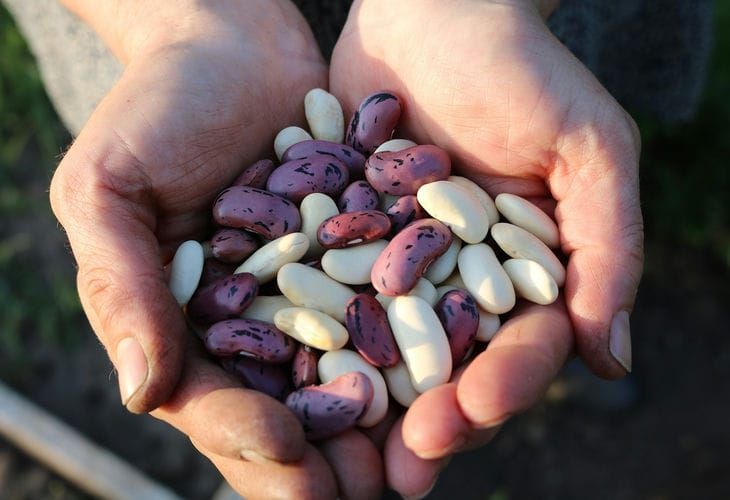 Этот бюджетный продукт превращается в ресторанное блюдо за 15 минут: есть на каждой кухне