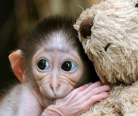 Как наладить жизнь после развода: шаги к новому счастью