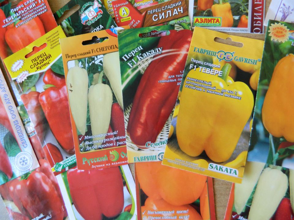 Проверка семян: когда выбрасывать, а когда сажать