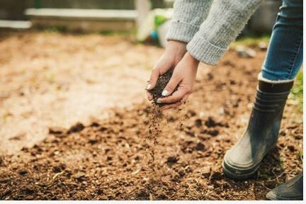 Что действительно работает на даче: удобрения без маркетингового шума