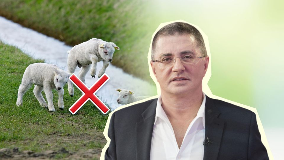 Овец считать не придется: Мясников раскрыл тайну быстрого засыпания