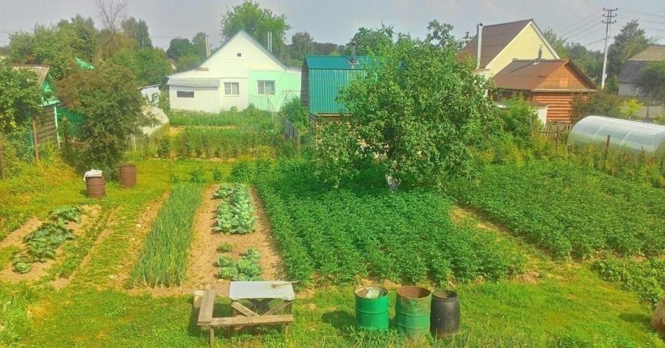 Как дачи советской эпохи становятся культурным наследием