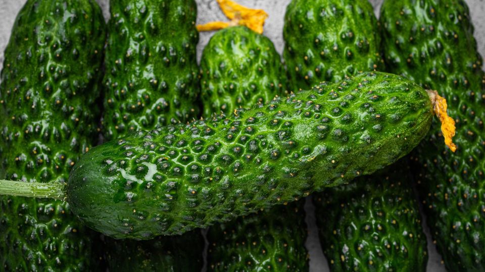Горькие огурцы спасете за пару минут: сделайте так и сразу отправляйте в салат